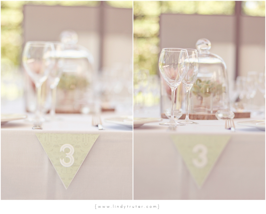 Lindy Truter Photography_8413