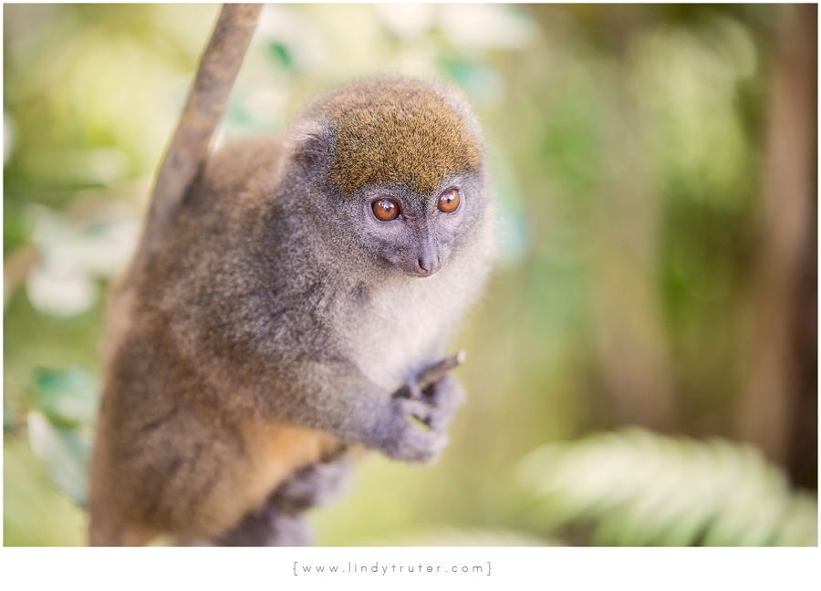 Madagascar_ Lindy Truter  (116)
