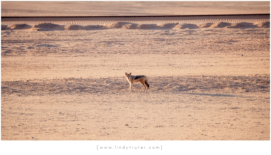 Namibia_Lindy Truter (3)