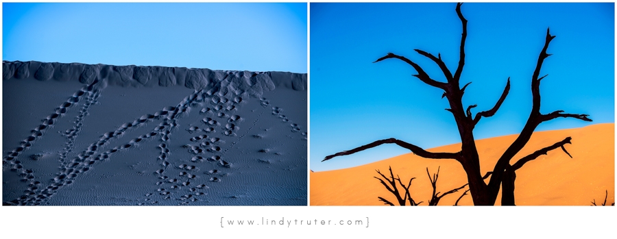 Namibia_Lindy Truter (32)