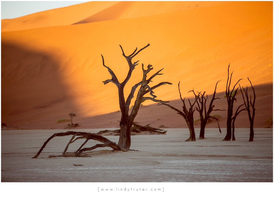 Namibia_Lindy Truter (48)