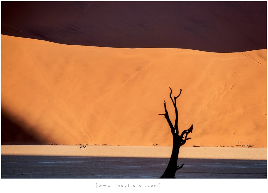 Namibia_Lindy Truter (77)