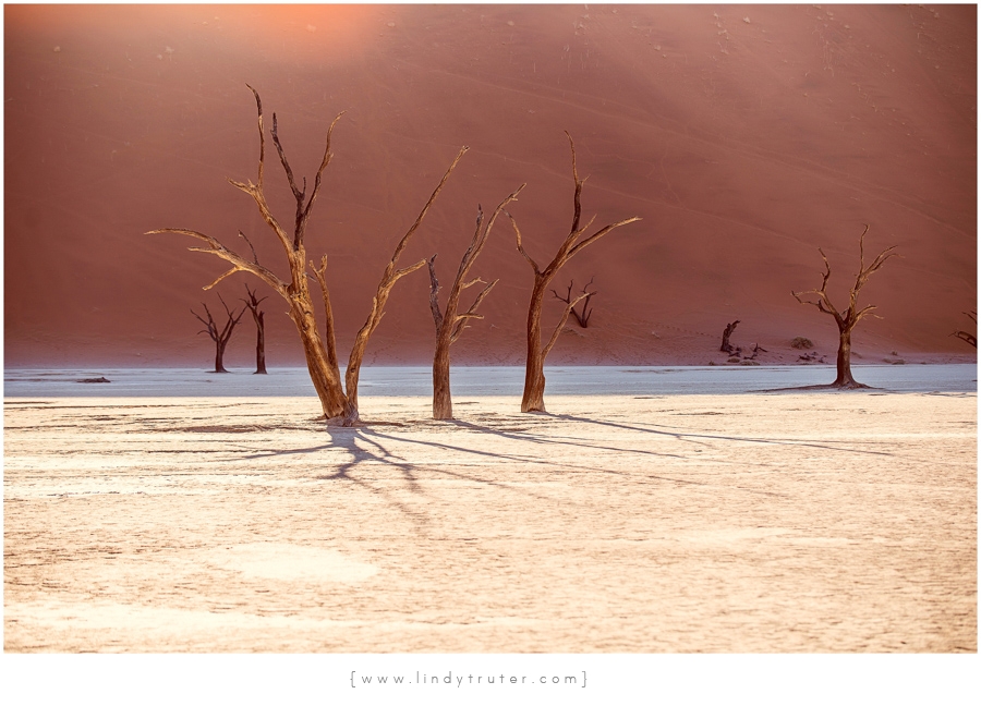 Namibia_Lindy Truter (79)