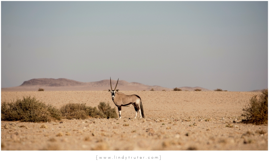 Namibia_Lindy Truter (94)