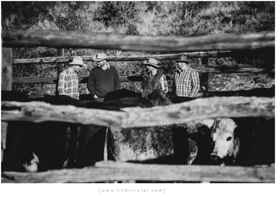 Karoo Ranching_Lindy Truter (7)