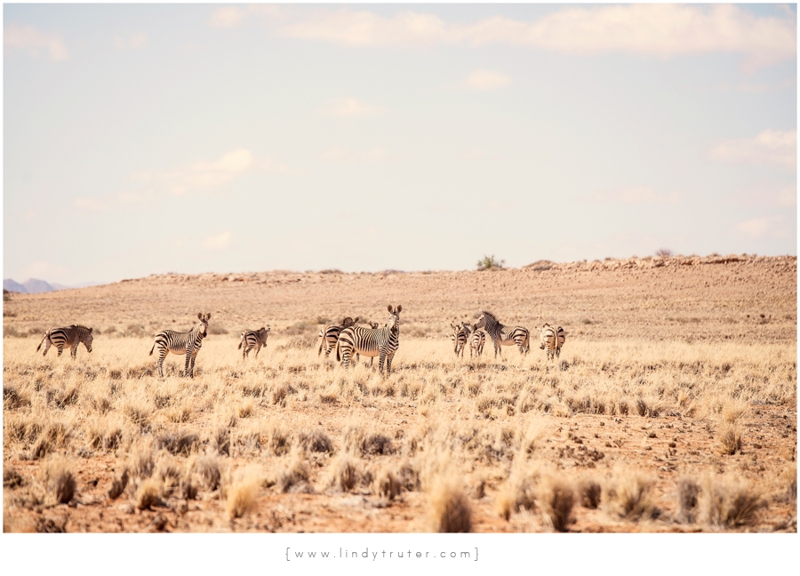 Namibia_Lindy Truter (69)
